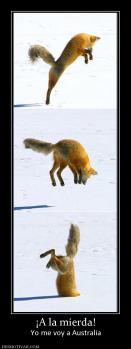 ¡A la mierda! Yo me voy a Australia