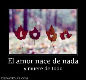 El amor nace de nada y muere de todo