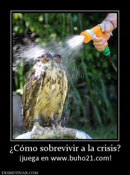 ¿Cómo sobrevivir a la crisis? ¡juega en www.buho21.com!