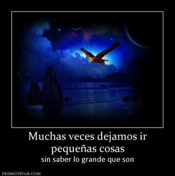 Muchas veces dejamos ir pequeñas cosas sin saber lo grande que son