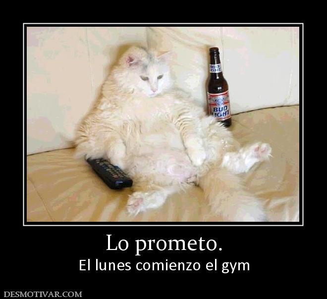 Lo prometo. El lunes comienzo el gym