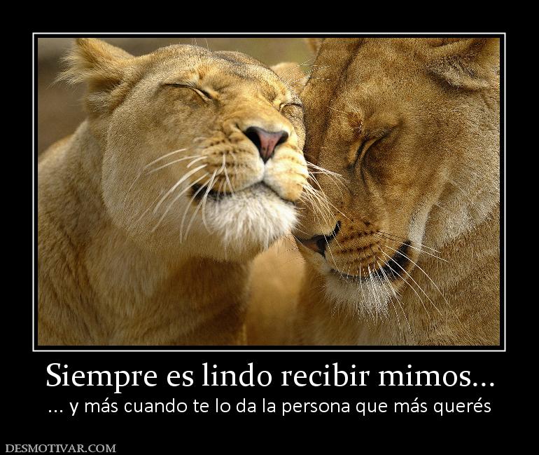 Siempre es lindo recibir mimos... ... y más cuando te lo da la persona que más querés