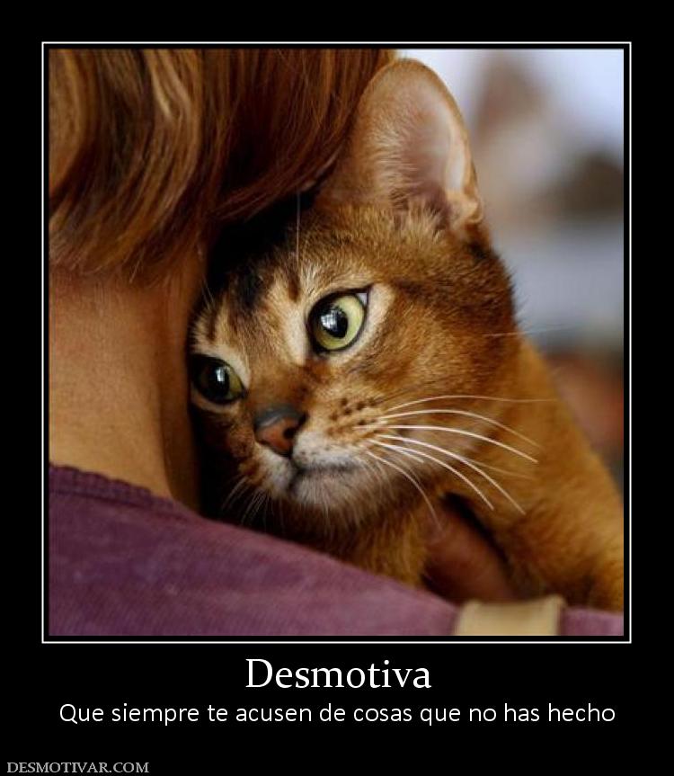 Desmotiva Que siempre te acusen de cosas que no has hecho