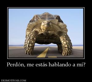 Perdón, me estás hablando a mí?