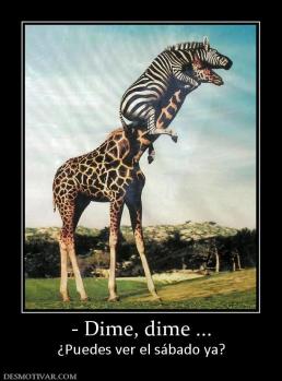 - Dime, dime ... ¿Puedes ver el sábado ya?