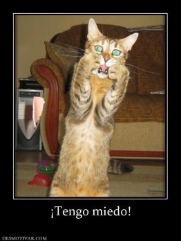 ¡Tengo miedo!