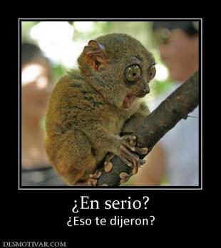 ¿En serio? ¿Eso te dijeron?