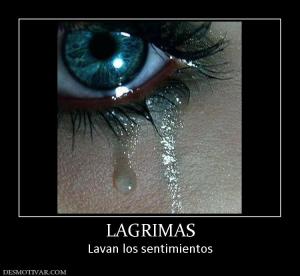 LAGRIMAS Lavan los sentimientos
