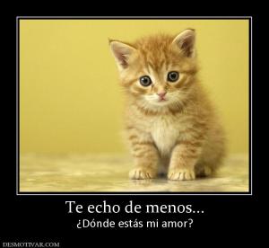 Te echo de menos... ¿Dónde estás mi amor?