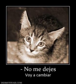 - No me dejes Voy a cambiar