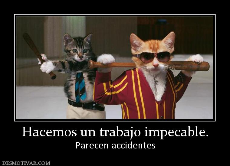 Hacemos un trabajo impecable. Parecen accidentes
