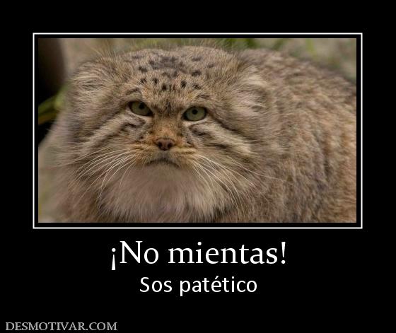 ¡No mientas! Sos patético