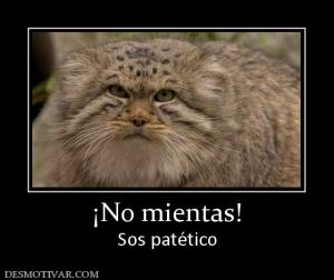 ¡No mientas! Sos patético