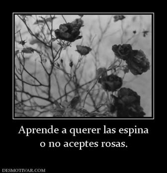 Aprende a querer las espina o no aceptes rosas.