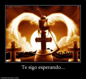 Te sigo esperando...