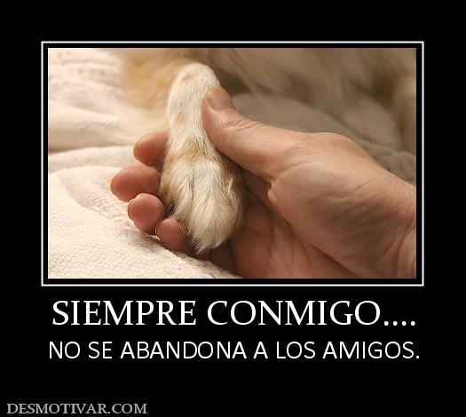 SIEMPRE CONMIGO.... NO SE ABANDONA A LOS AMIGOS.