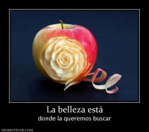 La belleza está donde la queremos buscar