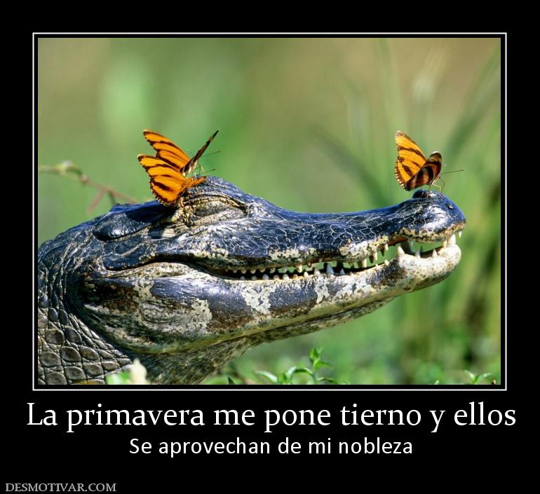 La primavera me pone tierno y ellos Se aprovechan de mi nobleza