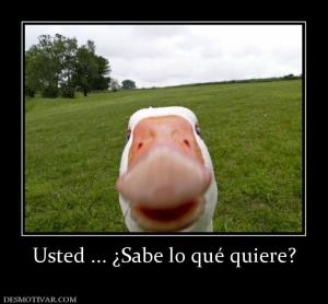 Usted ... ¿Sabe lo qué quiere?