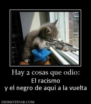 Hay 2 cosas que odio: El racismo y el negro de aquí a la vuelta