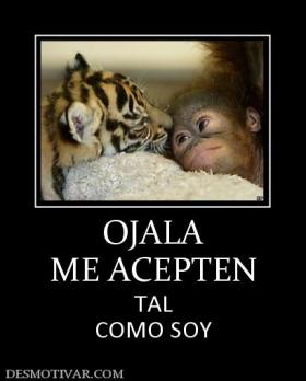 OJALA ME ACEPTEN TAL COMO SOY
