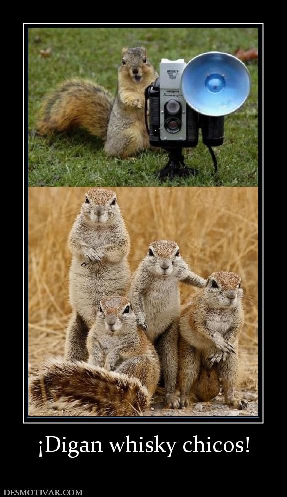 ¡Digan whisky chicos!