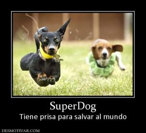SuperDog Tiene prisa para salvar al mundo