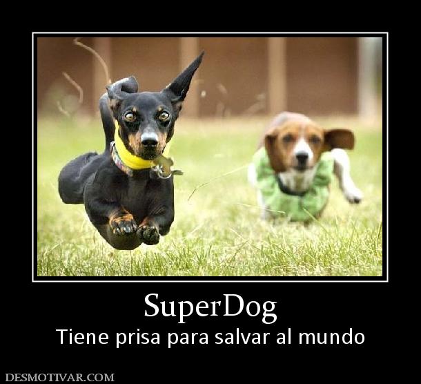 SuperDog Tiene prisa para salvar al mundo