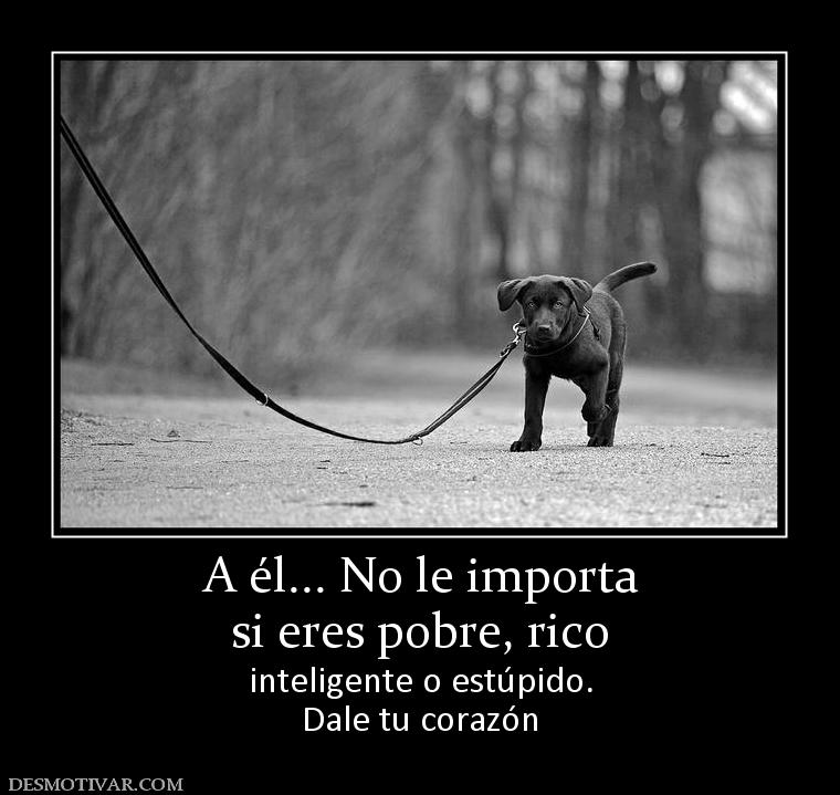 A él... No le importa si eres pobre, rico inteligente o estúpido. Dale tu corazón