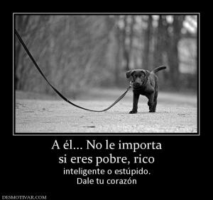 A él... No le importa si eres pobre, rico inteligente o estúpido. Dale tu corazón