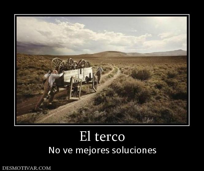 El terco No ve mejores soluciones