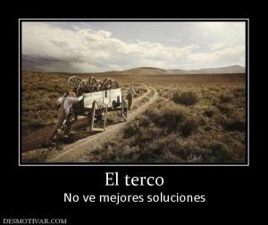 El terco No ve mejores soluciones