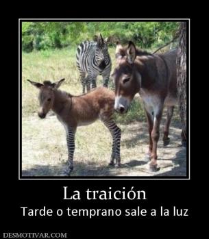 La traición Tarde o temprano sale a la luz