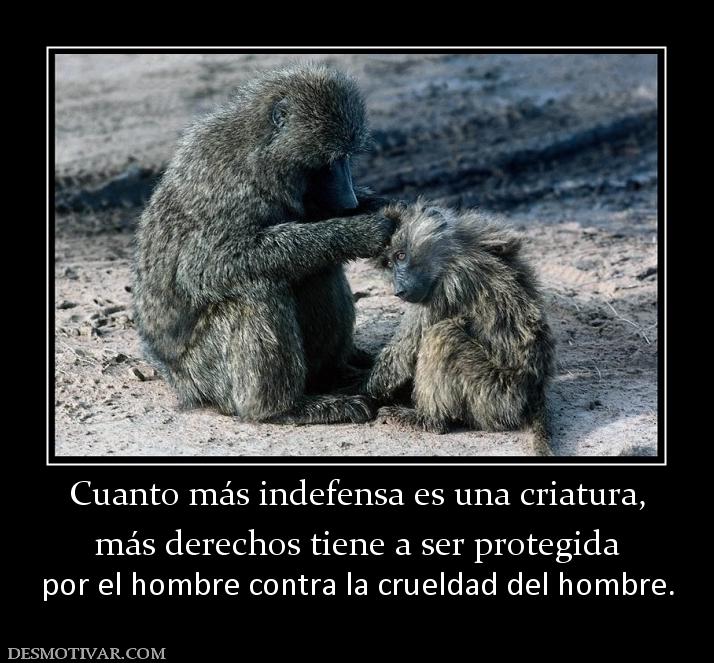 Cuanto más indefensa es una criatura, más derechos tiene a ser protegida por el hombre contra la crueldad del hombre.