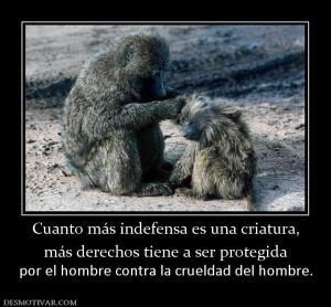 Cuanto más indefensa es una criatura, más derechos tiene a ser protegida por el hombre contra la crueldad del hombre.