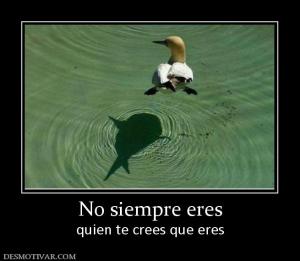 No siempre eres quien te crees que eres