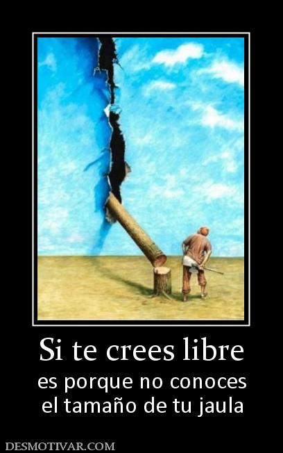 Si te crees libre es porque no conoces el tamaño de tu jaula