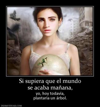Si supiera que el mundo se acaba mañana, yo, hoy todavía, plantaría un árbol.