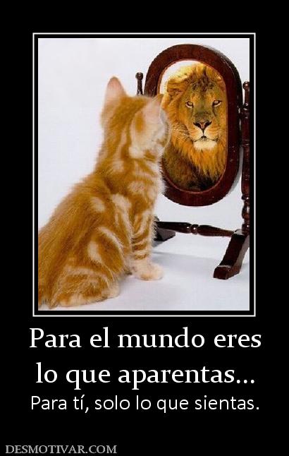 Para el mundo eres lo que aparentas... Para tí, solo lo que sientas.