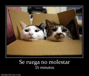 Se ruega no molestar 15 minutos