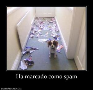 Ha marcado como spam