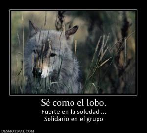 Sé como el lobo. Fuerte en la soledad ... Solidario en el grupo