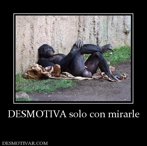 DESMOTIVA solo con mirarle