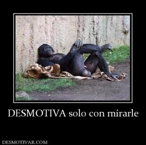 DESMOTIVA solo con mirarle