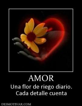 AMOR Una flor de riego diario. Cada detalle cuenta
