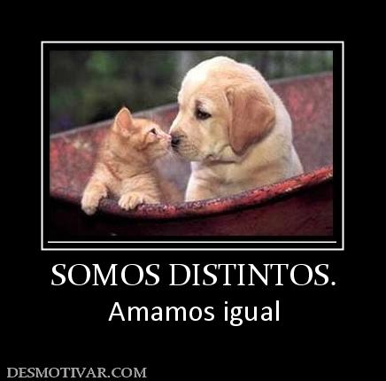 SOMOS DISTINTOS. Amamos igual