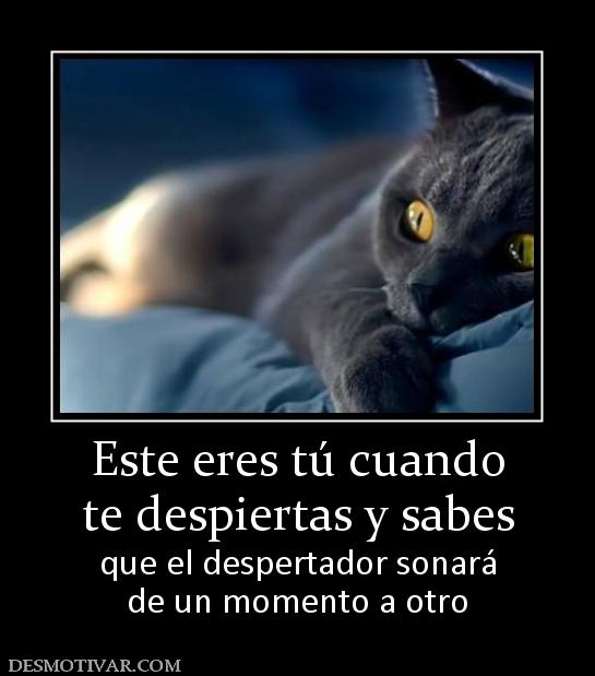 Este eres tú cuando te despiertas y sabes que el despertador sonará de un momento a otro