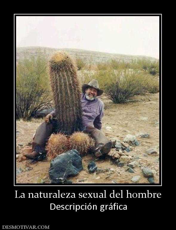 La naturaleza sexual del hombre Descripción gráfica