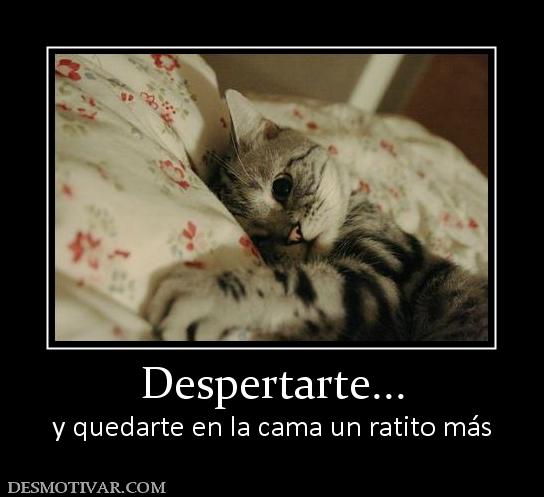 Despertarte... y quedarte en la cama un ratito más