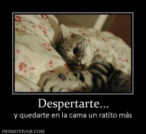 Despertarte... y quedarte en la cama un ratito más